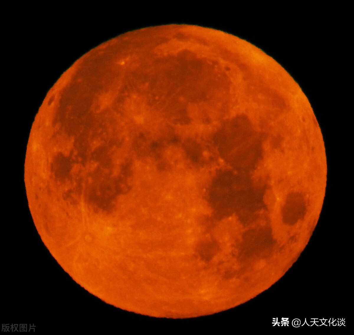 爱的古诗三首,含有爱的诗句古诗大全