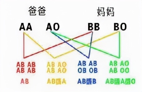 血型的发现史趣味科学知识,稀有血型小知识
