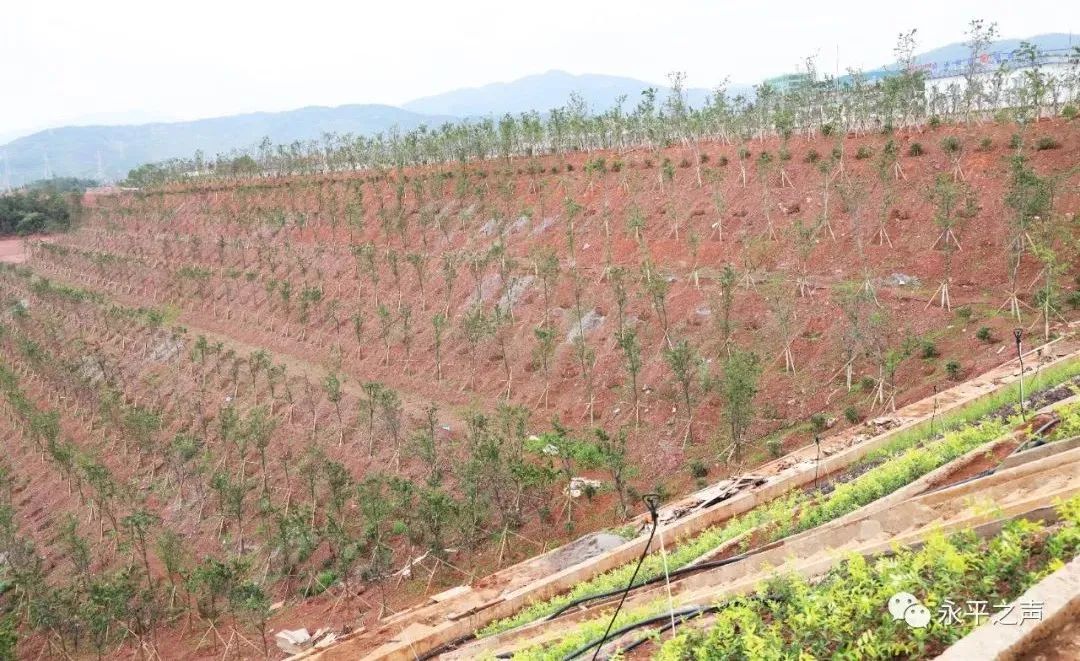 「我们的新时代」永平：组建工作专班，博南工业（物流）园区建设跑出加速度