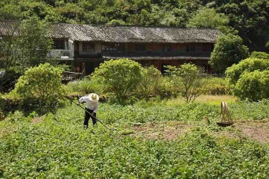 气象学家发出警告,全球变暖异常寒冷需警醒