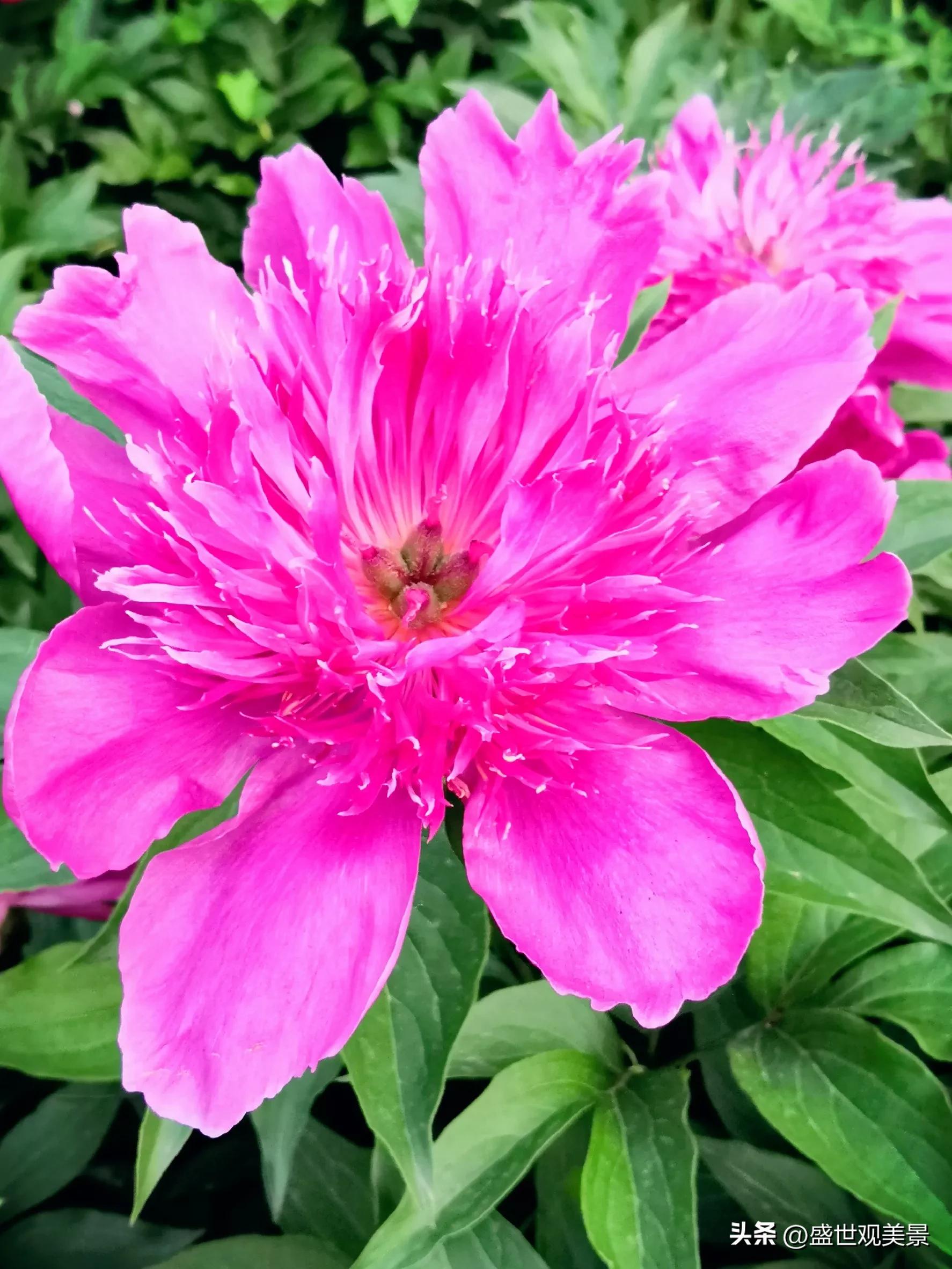 怎样找到头条的流量密码,头条原创文章怎么加推荐量