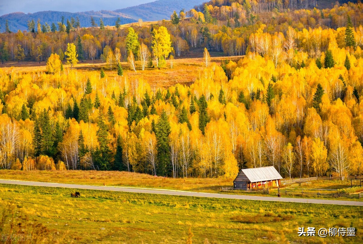 手机摄影拍摄技巧风景篇,手机专业摄影拍照技巧教程