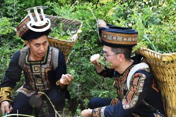 五十六个民族服饰视频,五十六个民族服饰完整版