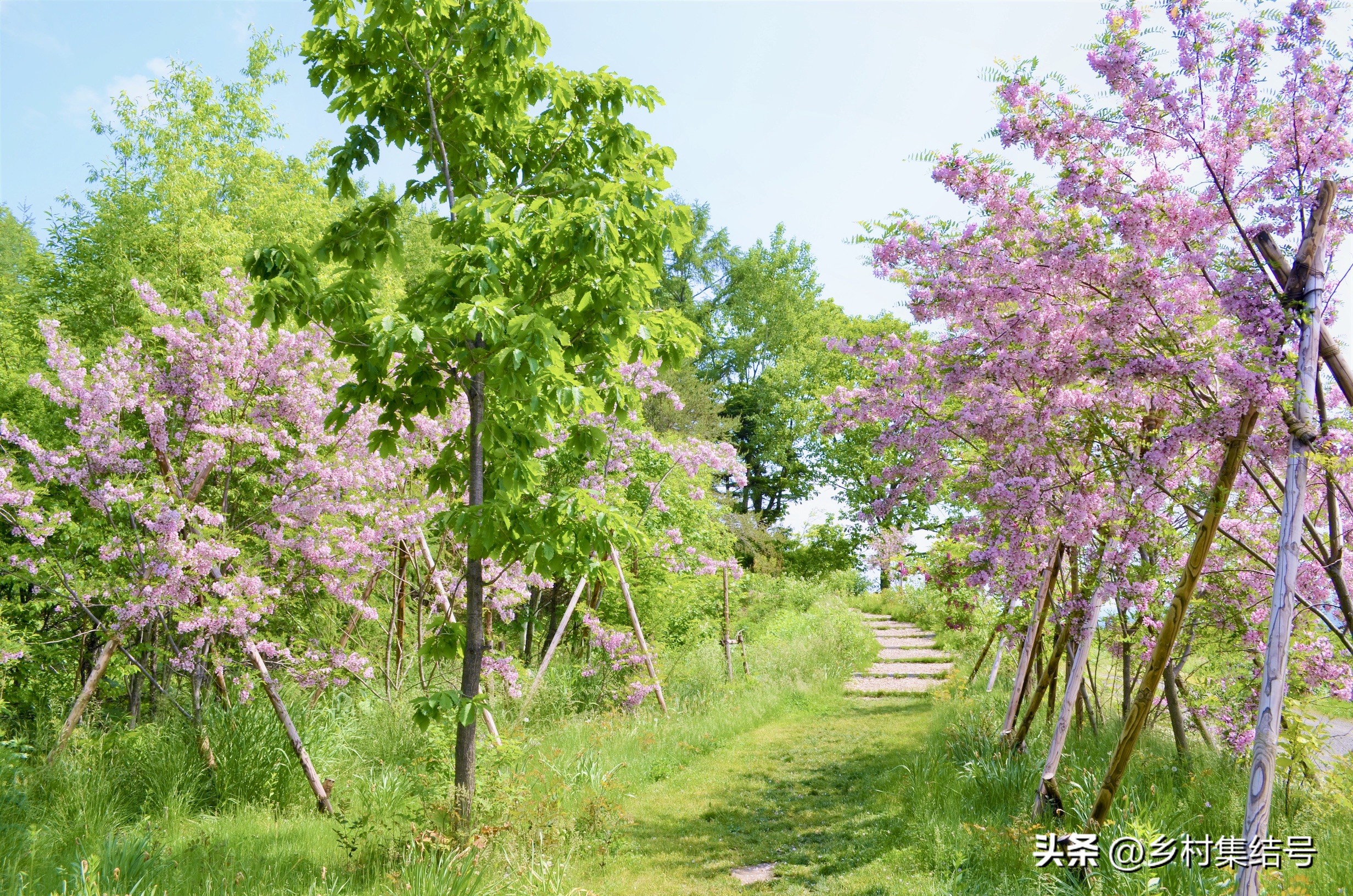 北海道上野农场,日本北海道上野农场