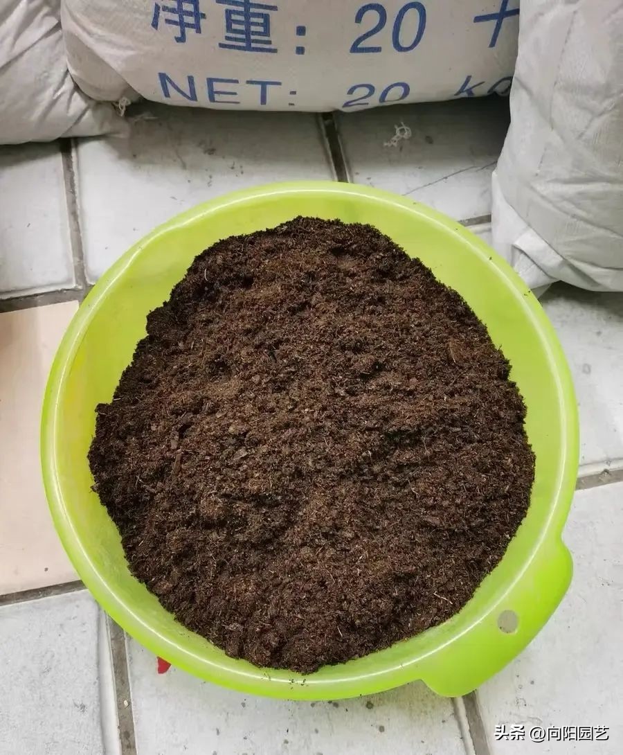 椰糠土便宜和贵的,椰糠加园林土