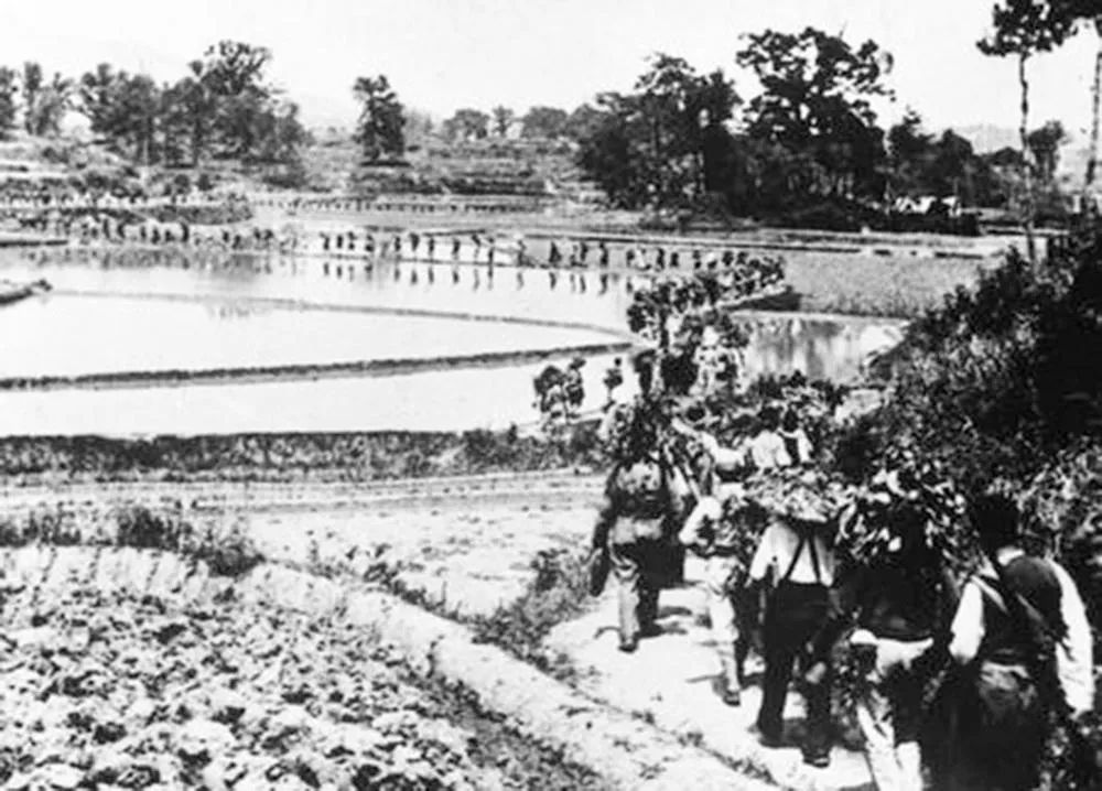 这些新四军女兵为何被称为“四大金刚”？