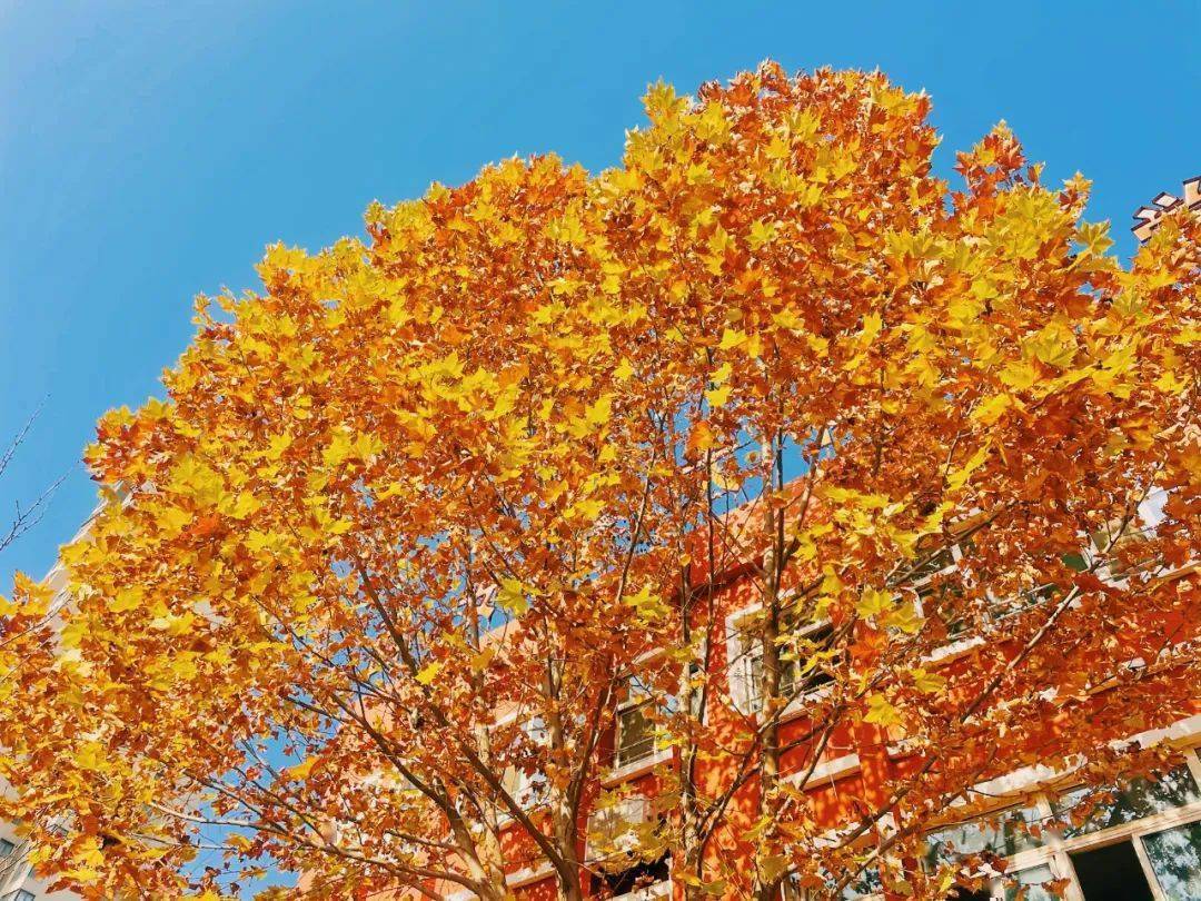 色彩心理学创作,色彩心理学的颜色代表什么