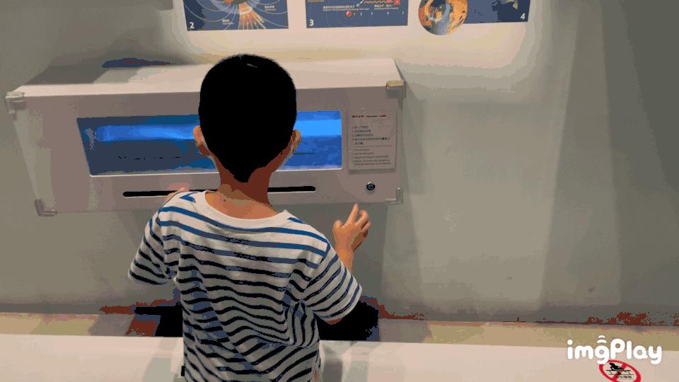 上海自然博物馆参观攻略,上海值得看的自然博物馆