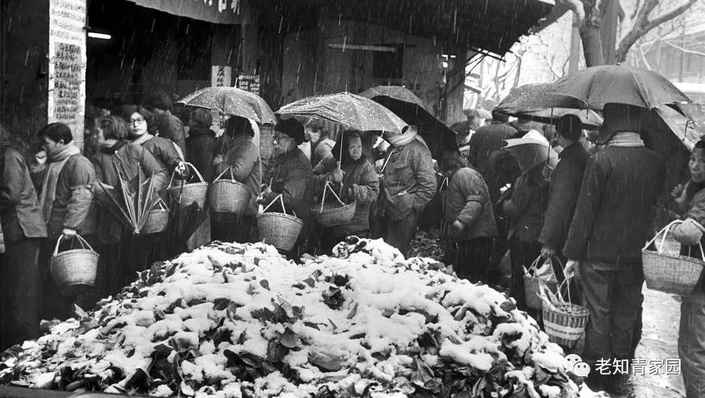 60年代中国人的生活视频,60年代生活记录完整版