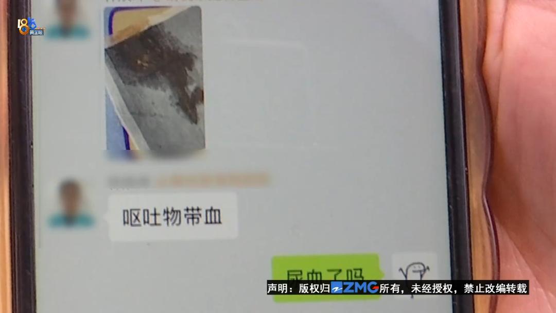 泰迪犬一旦出现这几个行为,泰迪犬能维持一个月吗