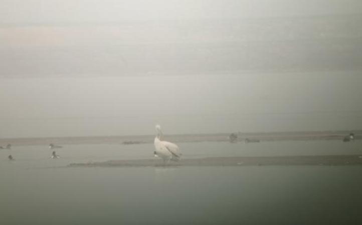 郑州发布54号通告/郑州通报2例无症状感染者活动轨迹/郑州四城区开展重点人群核酸检测/本周限行有变