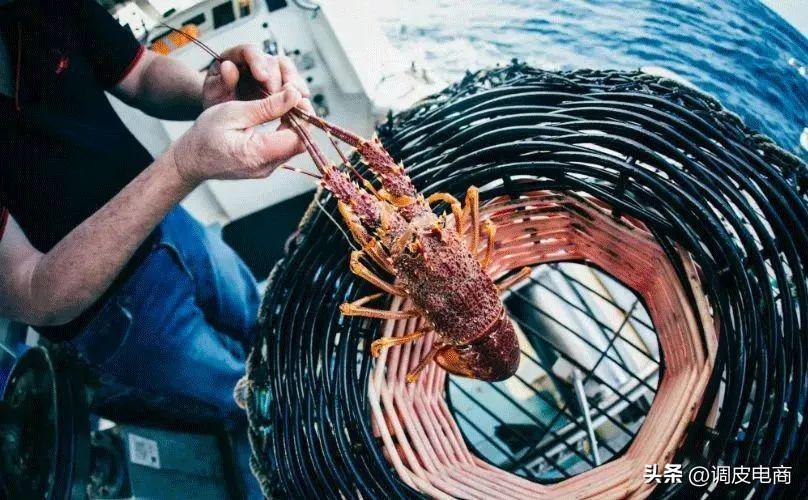 进口消费加速线上化,进口消费成消费升级重要驱动力