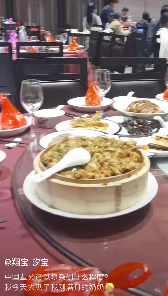 家庭监控下的一幕真实视频完整版,家庭监控下的真实一幕