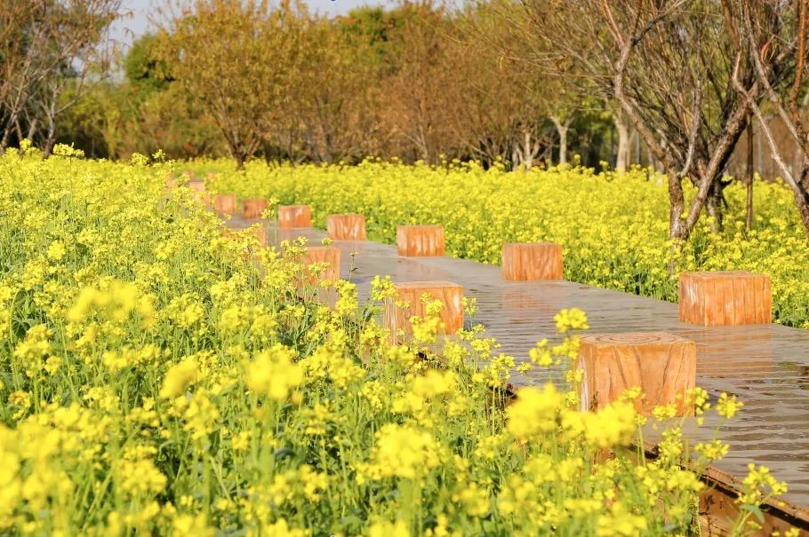 2023年春节厦门旅游现状,春节去厦门过年怎么过