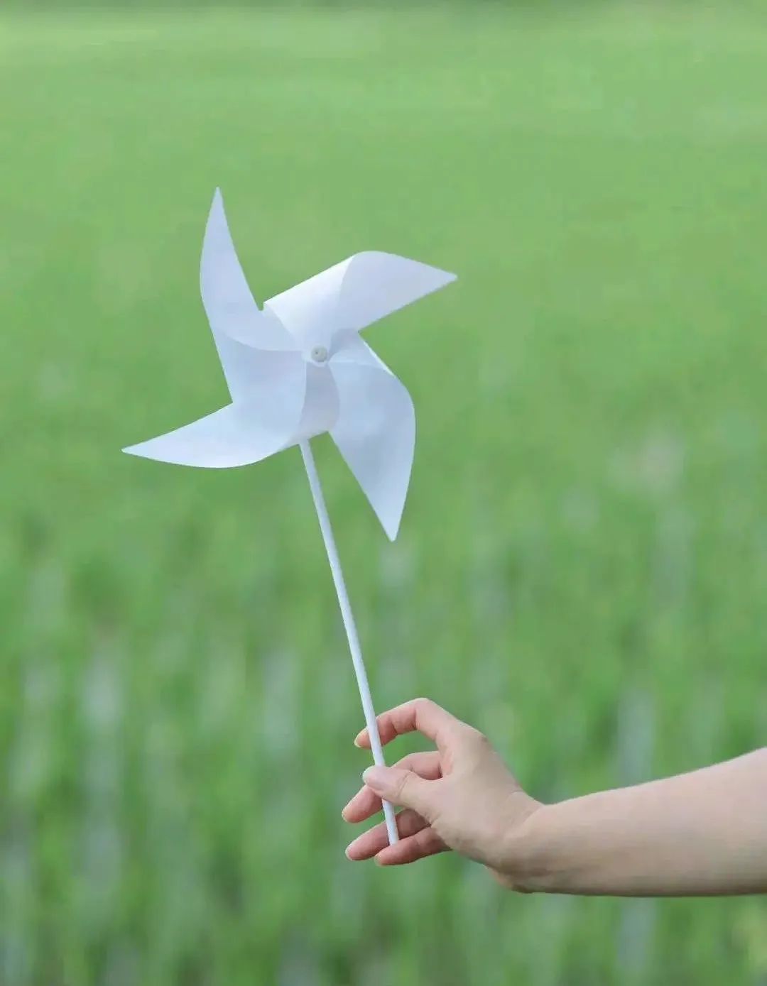 三十岁的我一事无成歌曲,三十岁的我一事无成视频