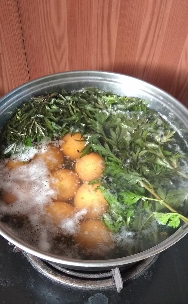 端午挂艾草单数还是双数,端午挂菖蒲艾草有什么讲究