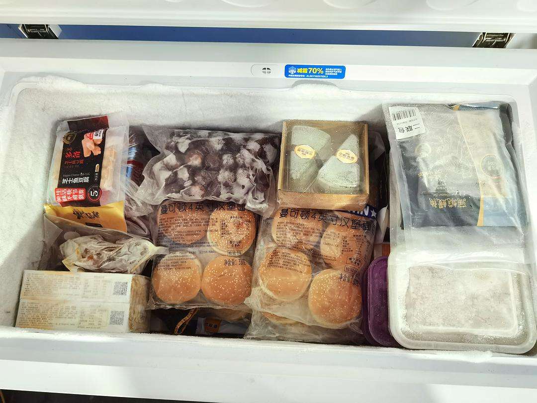 冰柜真的有必要吗,冰柜使用感受