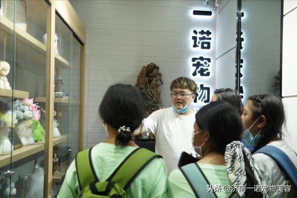 考宠物美容师证需要哪些条件呢,宠物美容师资格证哪个含金量高