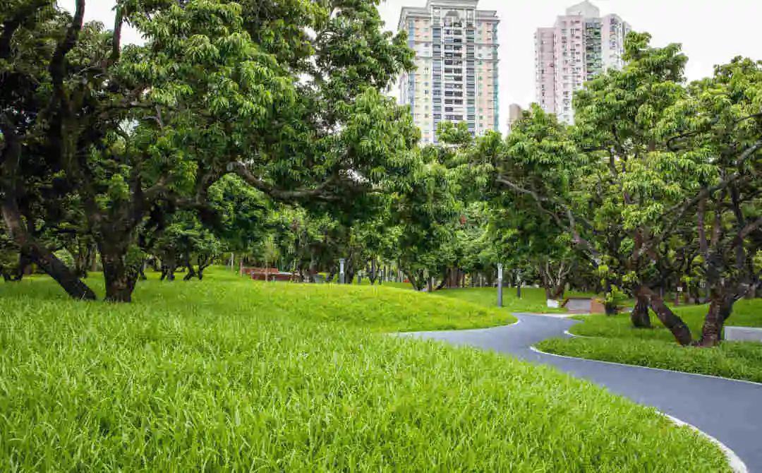 周末森林公园推荐深圳宝安,深圳森林公园登上山顶看美景