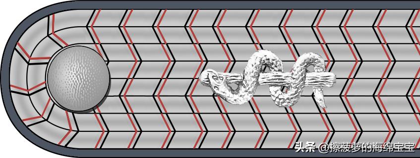二战德国国防军医疗兵军衔标志