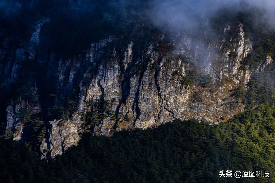 网友好物推荐,网友推荐好物