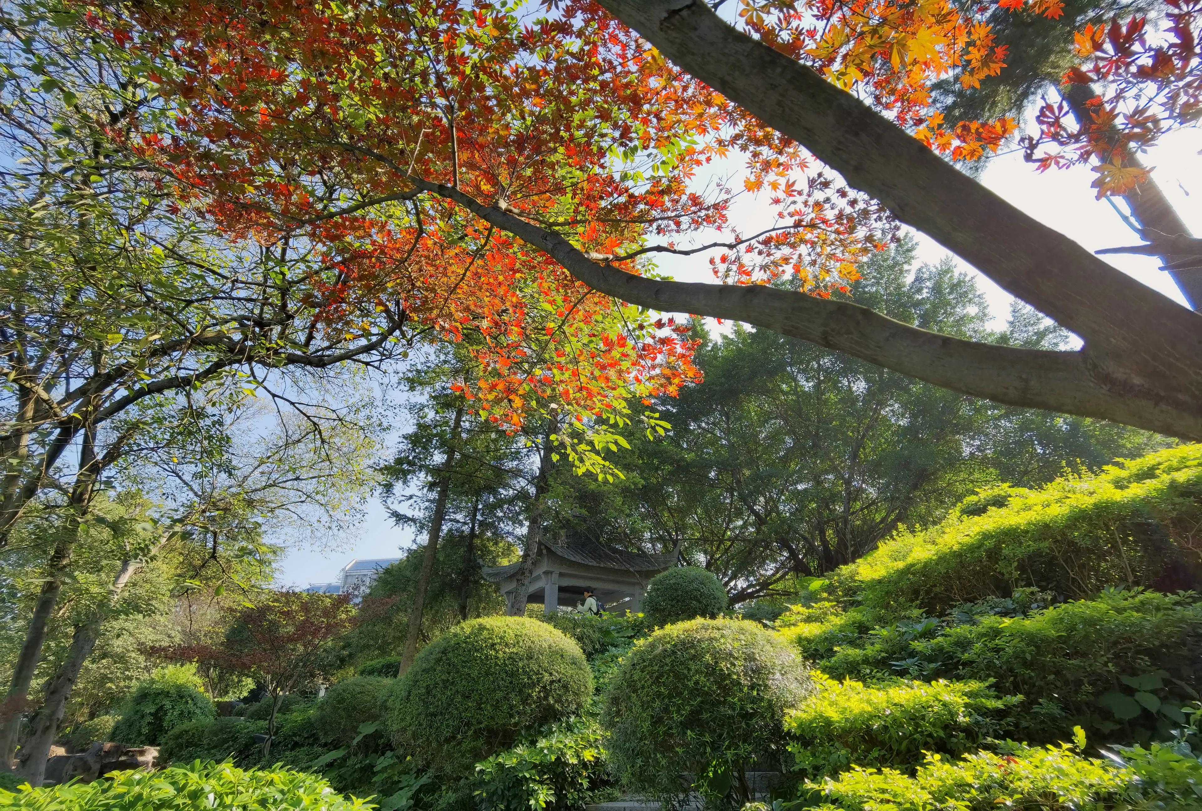 桂林的桂湖在哪里,桂林两江四湖之桂湖