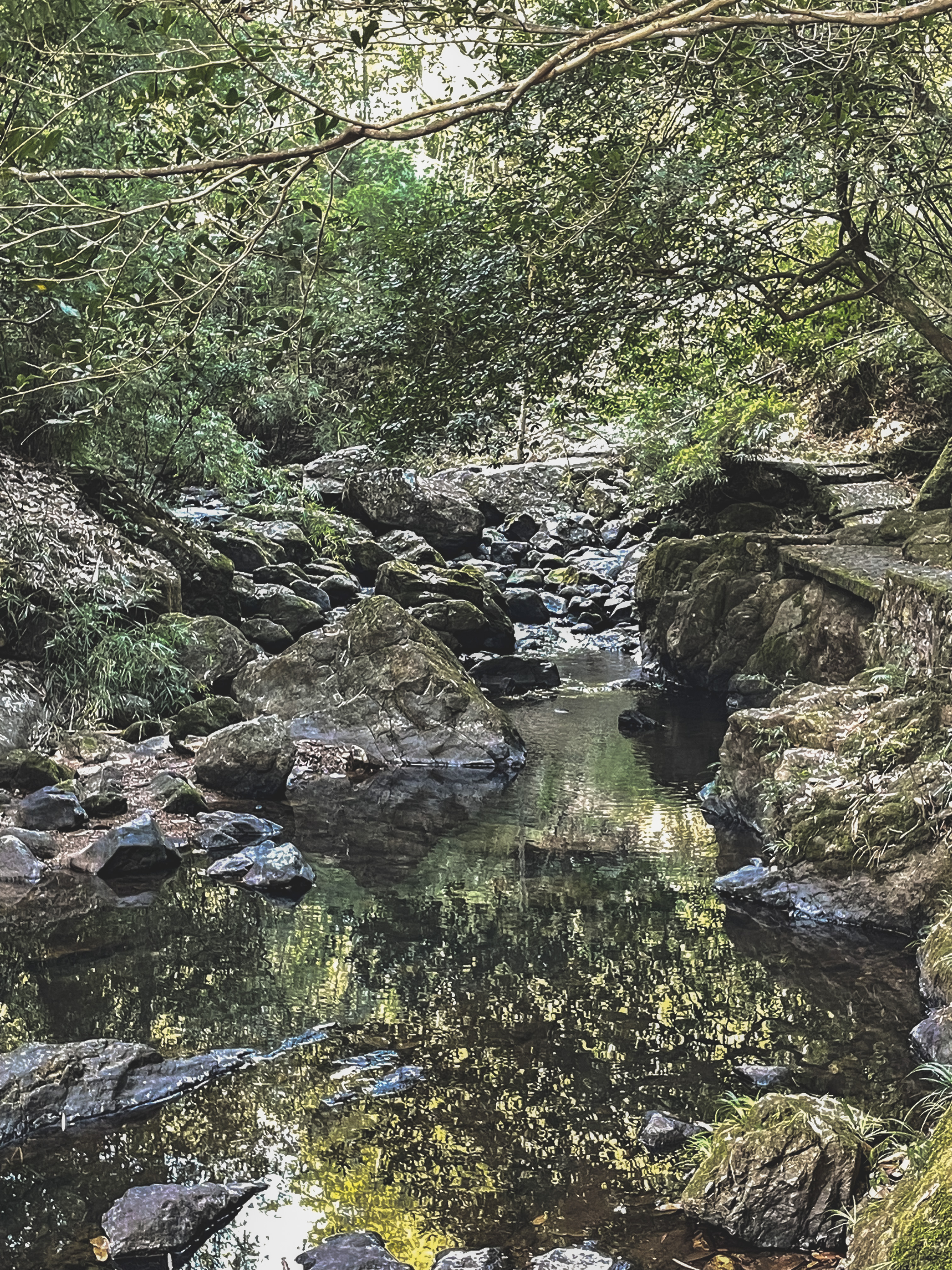 广州南昆山温泉旅游攻略,秋冬季来临广东热门温泉攻略