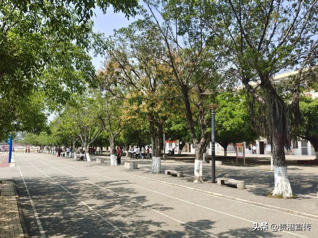 山北民中航拍,贵港山北民中中考成绩