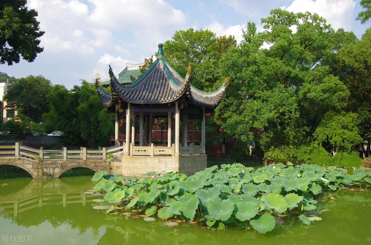 湖南大学2023年各专业录取位次,湖南大学地方专项录取分数线2023