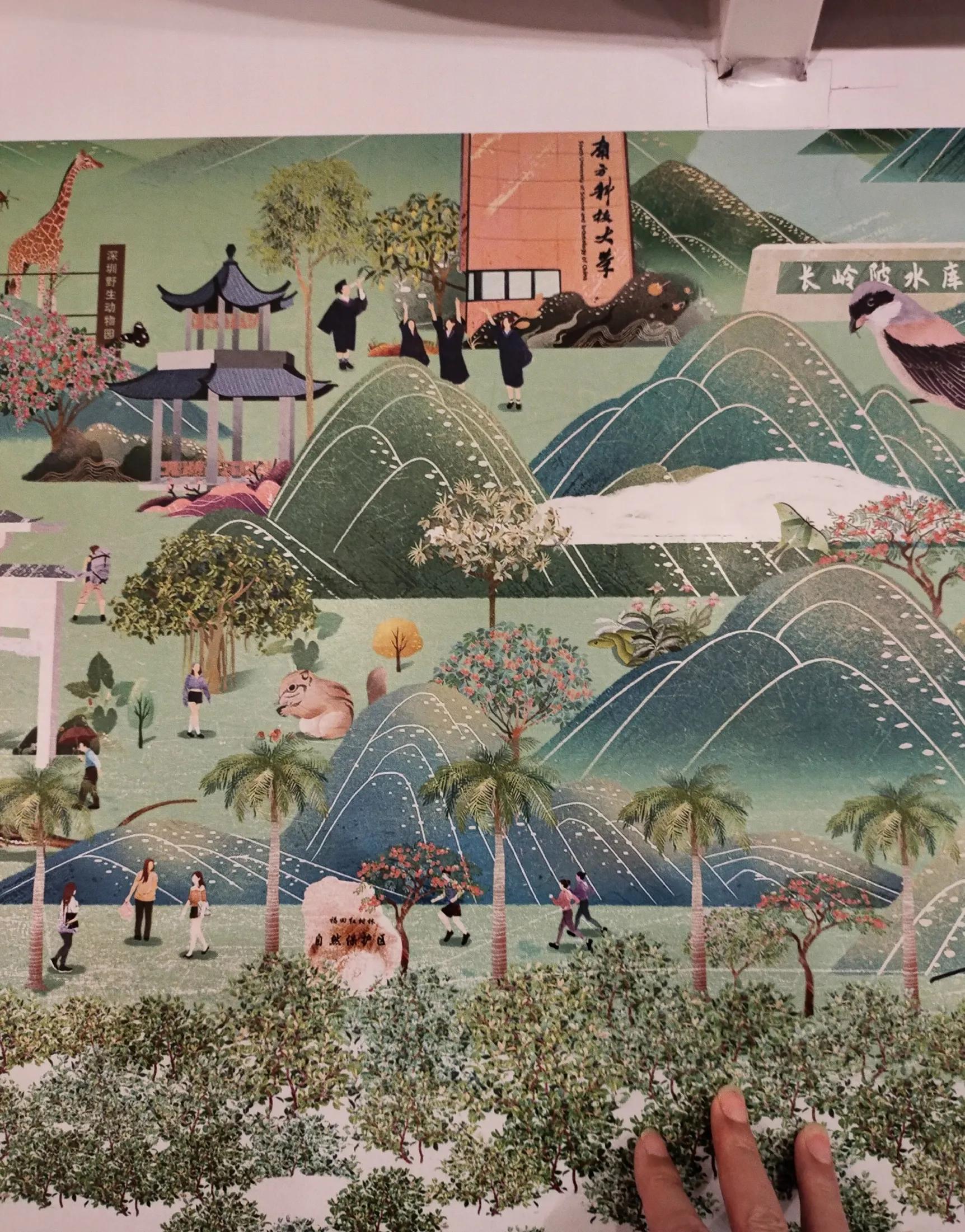 深圳莲花公园旅游攻略,让我带你参观一下公园英文怎么说