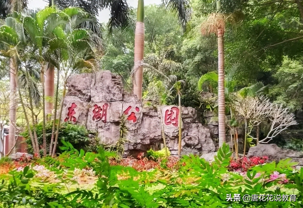 深圳地铁8号线可以看海吗,深圳地铁15号线游玩攻略路线