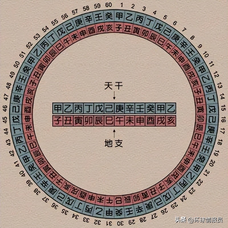 猫为什么没有入选十二生肖,越南为什么把兔年叫猫年