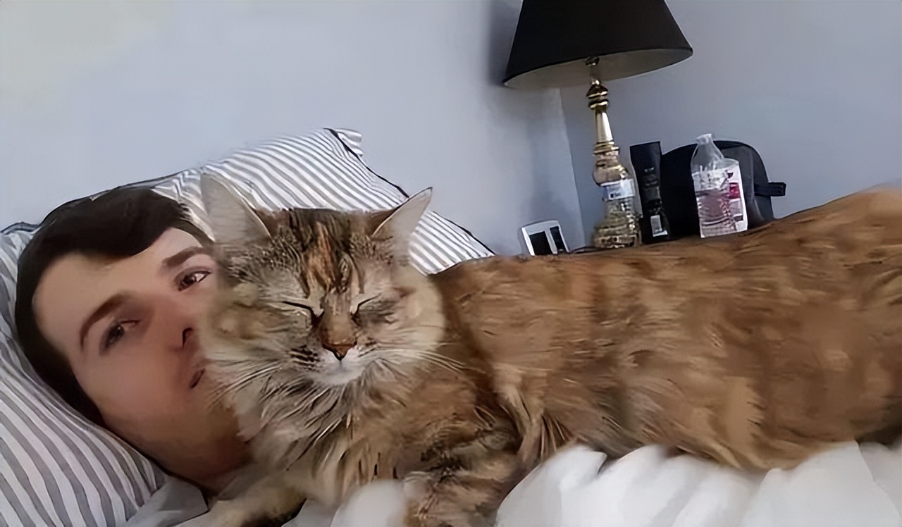 和猫咪睡觉的五大好处,和猫咪睡觉要注意些什么