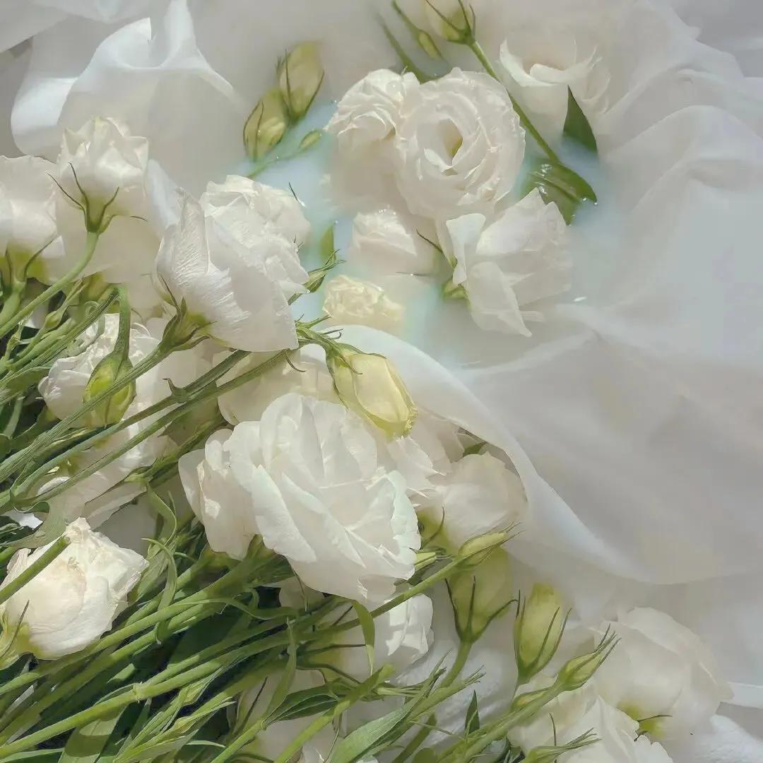 文案高清背景图干净治愈,背景图干净治愈系高清