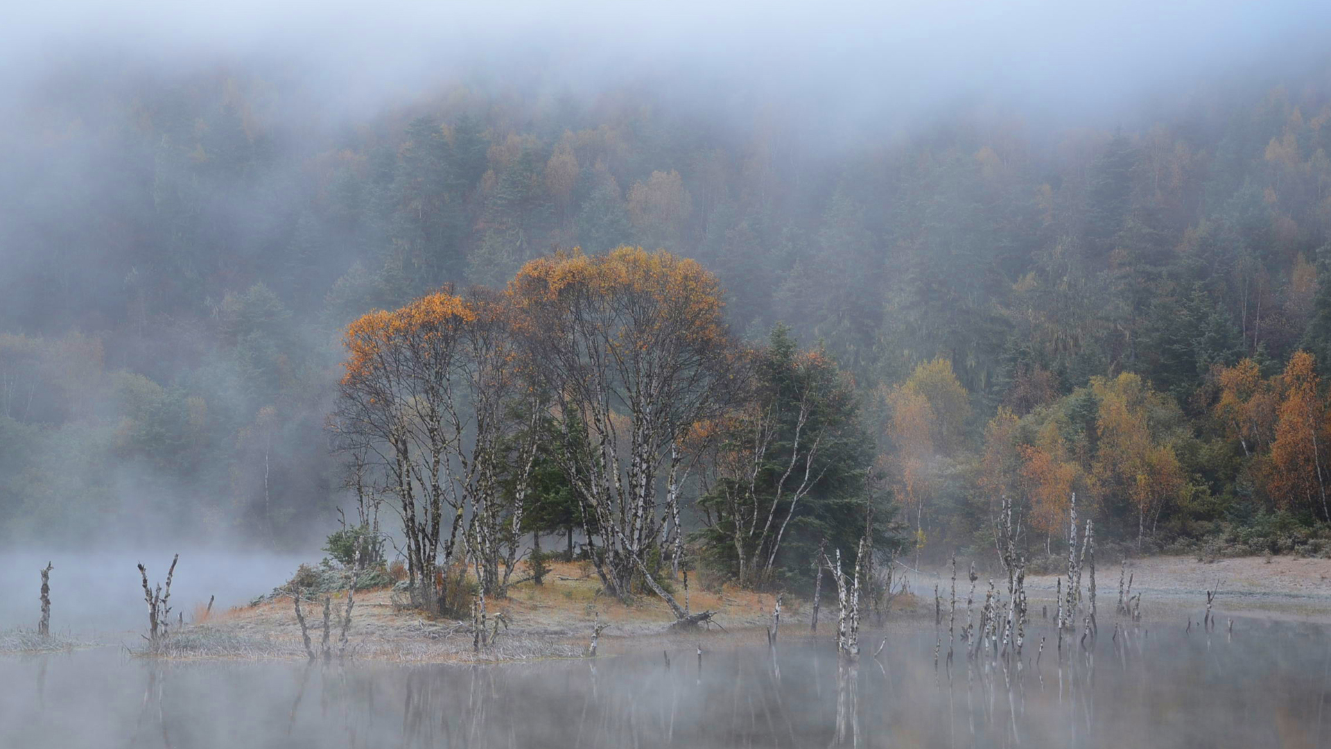 云南最漂亮的景点排名,云南最漂亮的景点推荐