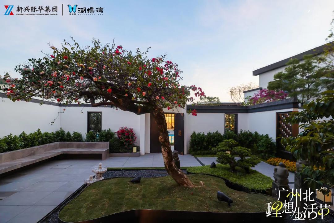 横空出世怎么样,横空出世基地建设