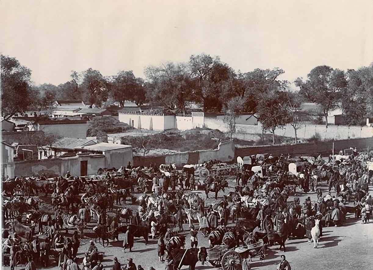 消费者疯狂购物的视频,消费者疯狂下单视频