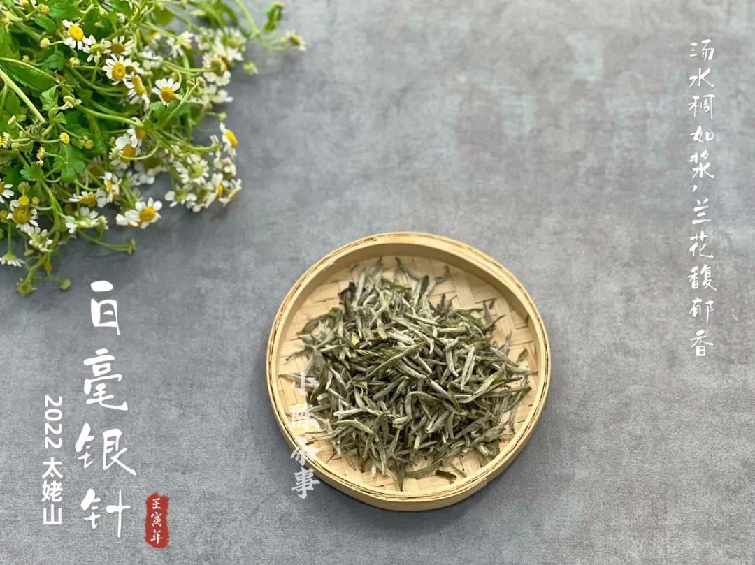红茶绿茶乌龙茶四季春茶哪个减肥,绿茶秋茶和春茶有什么区别
