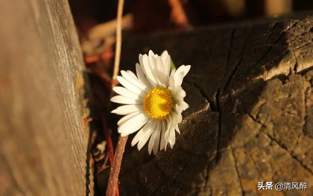 晚上发朋友圈晚安幽默说说,励志正能量晚安朋友圈说说