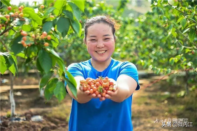 恩桃儿采摘园资中,恩桃儿采摘南充