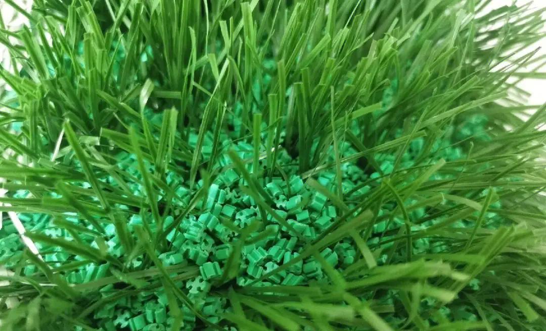 草坪养护撒石灰还是先播种,草坪养护是否复杂