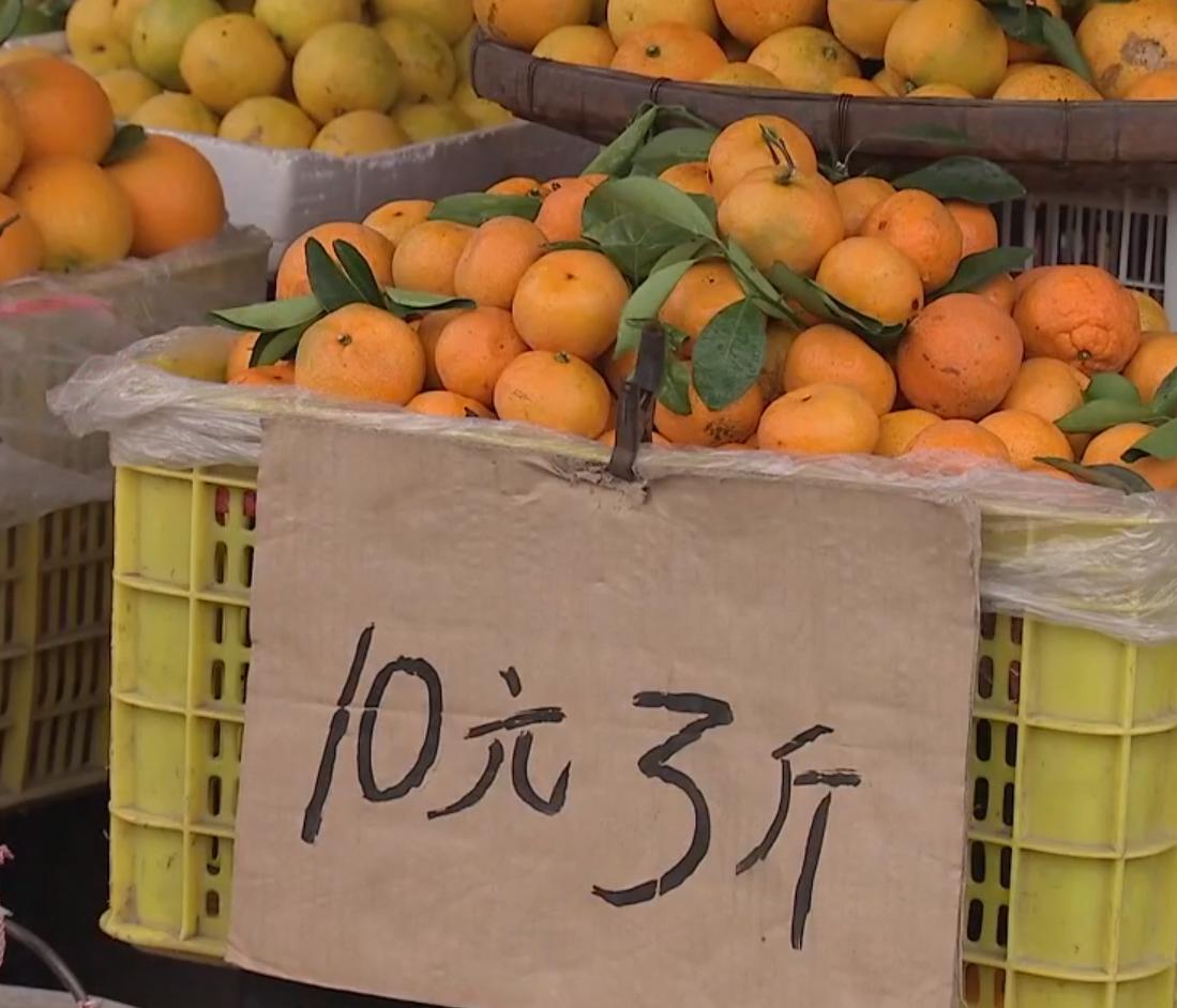 80后农民哥创业种植沃柑,如何卖沃柑一年赚一千万