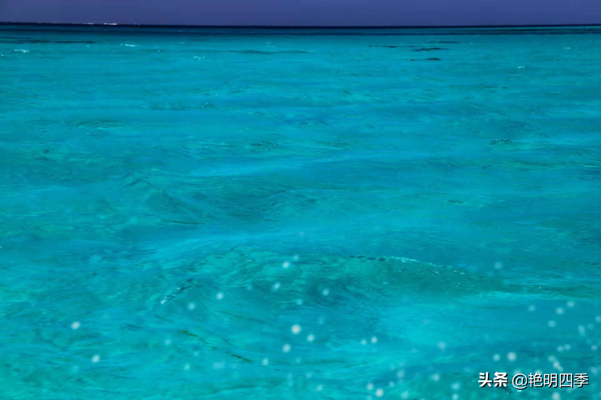 西沙群岛南海之梦游轮,西沙群岛南海之梦游轮视频