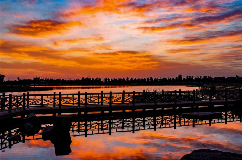 閮戝窞榛勬渤鏂囨梾灏忛晣,琛岃蛋娌冲崡璇绘噦涓浗鏂伴儜