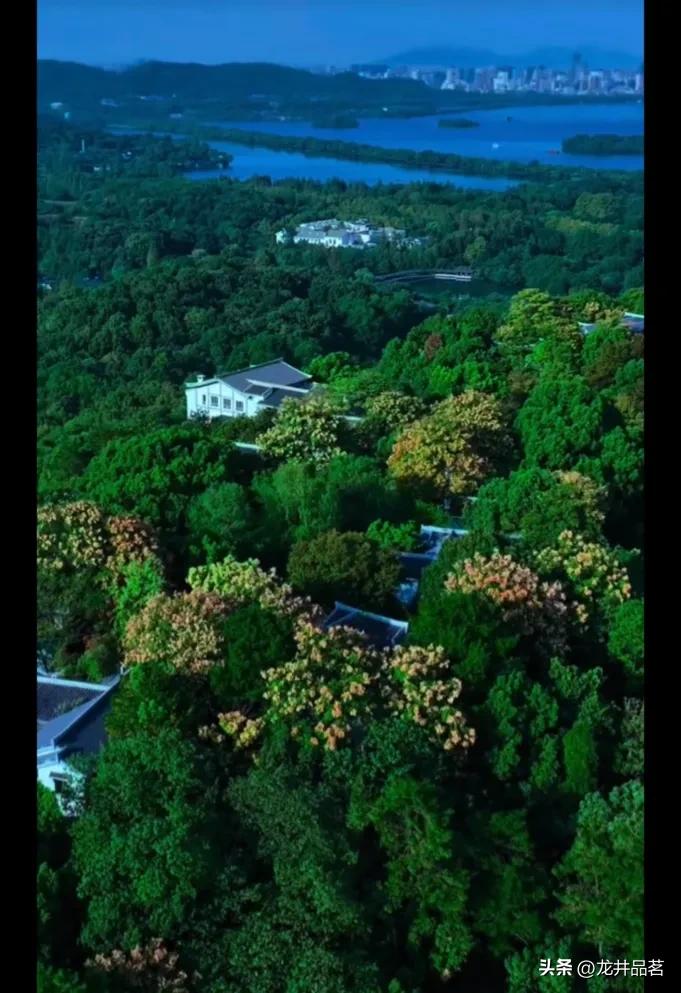 西湖别墅区青龙山庄,杭州西湖边的别墅青龙山庄
