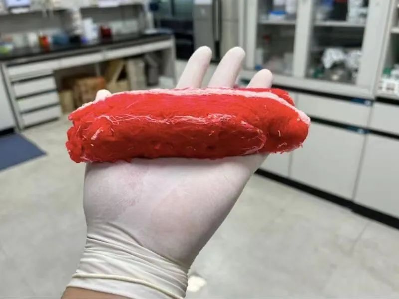 未之头条：重新认识霉菌，它除了变牛排还能盖房子