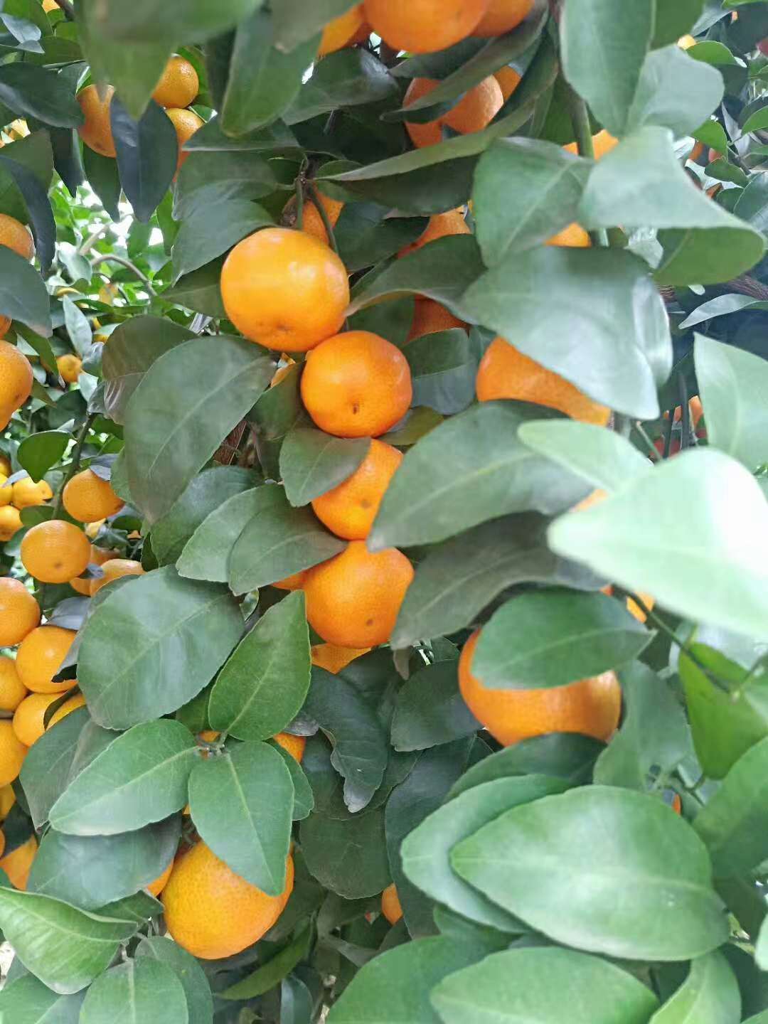 行业不景气怎么办,行业不景气如何创业