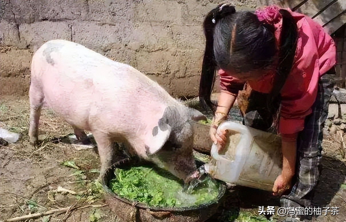 浙江富婆宾利姐征婚视频,浙江富婆宾利姐年轻时候