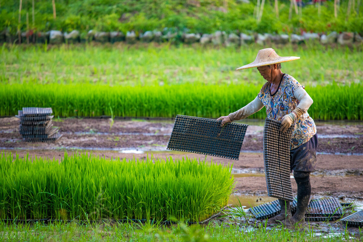 小朋友过生日阴历阳历都过好不好,给男孩过生日应该过阴历还是阳历
