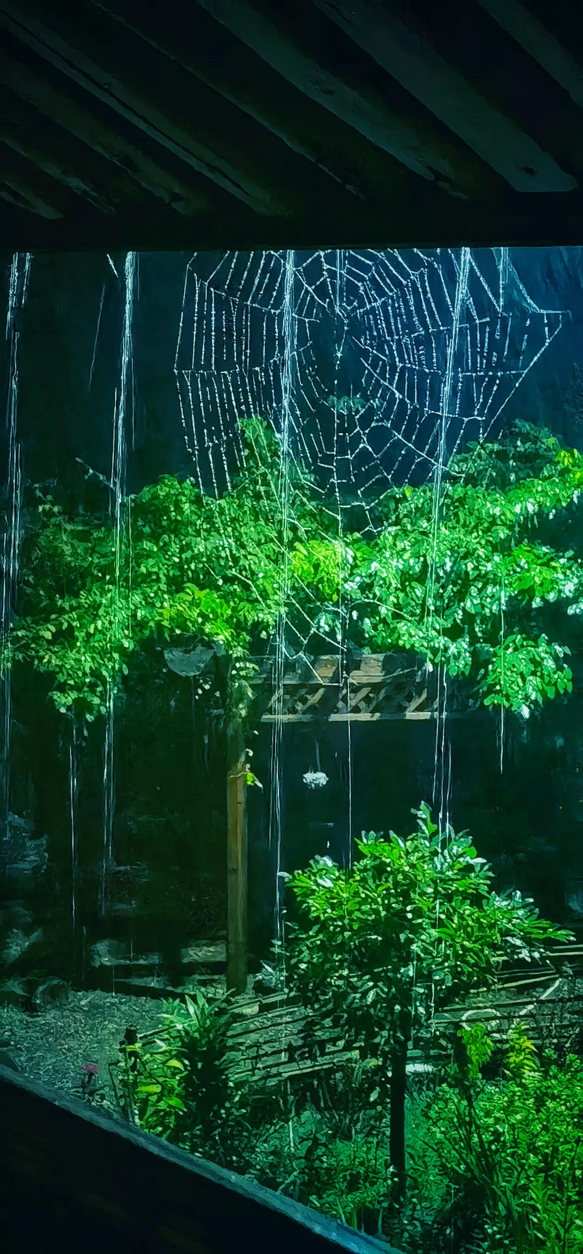 韦应物十大绝句,韦应物最著名的千古名句